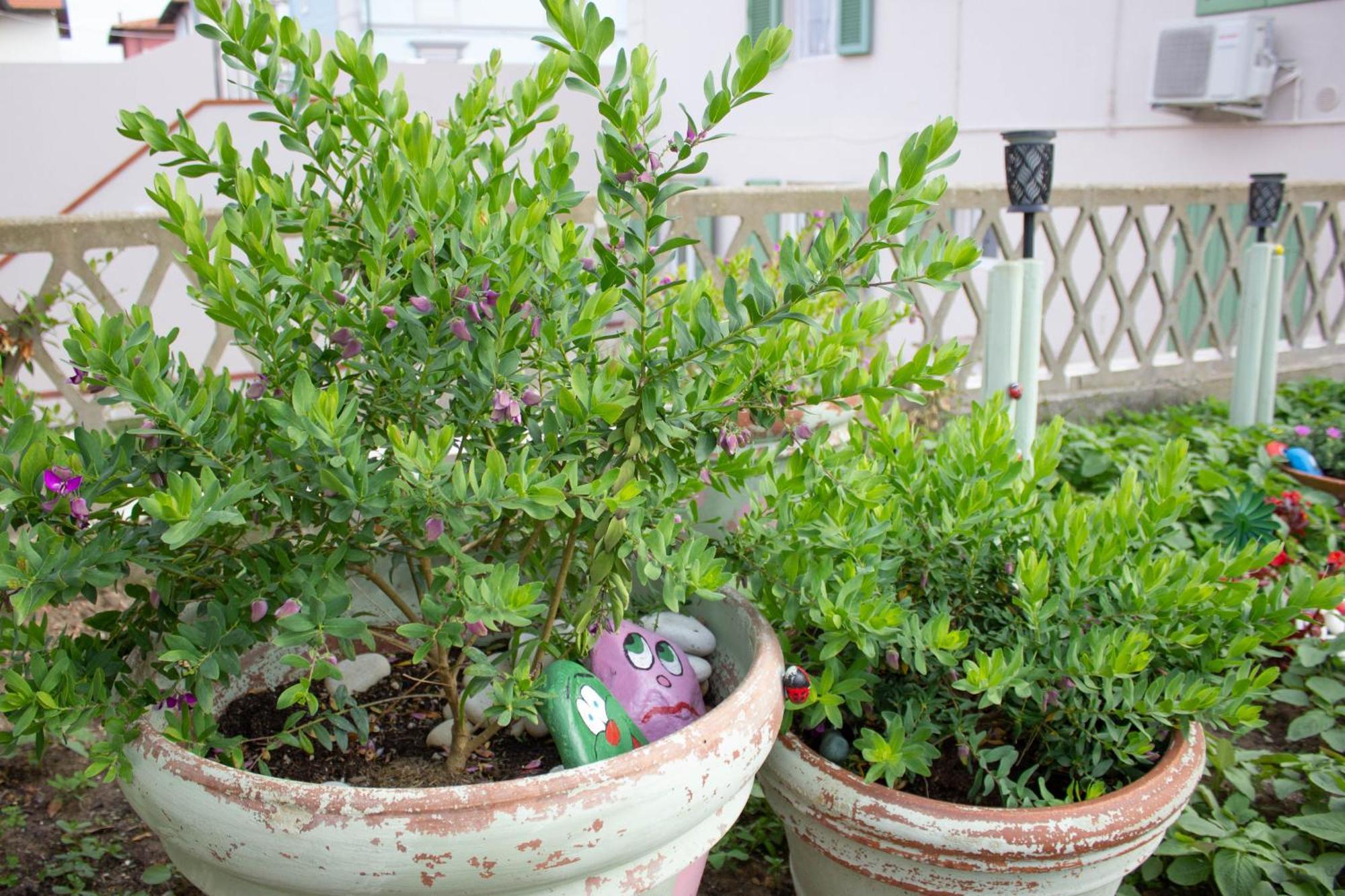 La Coccinella Apartman Marina Di Pisa Kültér fotó